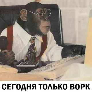 🤓 f05bfe4a СЕГОДНЯ ТОЛЬКО ВОРК singe, bureau, travail, lunettes, dactylographie, bureau, singe whatsapp sticker