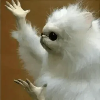 🤯 090ed2fa meme, lucu, anjing, hewan, melambai whatsapp sticker