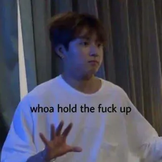 😮 c72dad93 whoa hold the fuck up meme, lucu, kpop, ekspresi, berhenti, tunggu whatsapp sticker