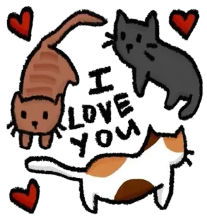 💘 41369b88 I LOVE YOU кот, любовь, сердечки, животные, милый, питомец, привязанность whatsapp sticker