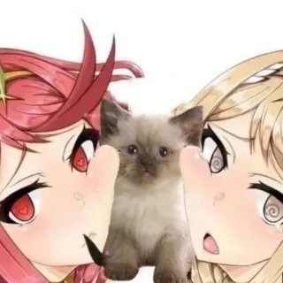 🥺 bf1c0886 Аниме девочки, Кот, Наклейка, Мем, Смешные, Милые whatsapp sticker