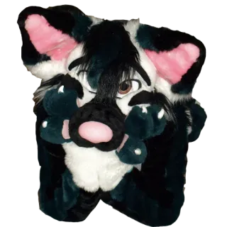 RCFox whatsapp stickers