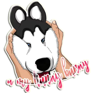 😍 0aca1cd6 w my bunny bunny husky, dog, bunny, animal, pet, cute telegram sticker