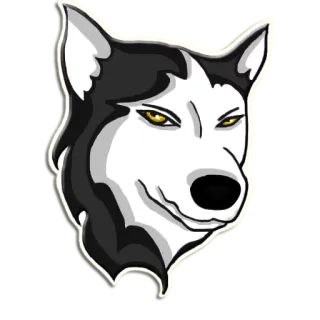 🙄 dc80f6d3 dog, animal, pet, husky, black and white, canine, domestic animal telegram sticker