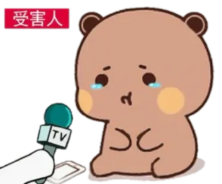 🐻 1d21e658 受害人 chorando, triste, entrevista, urso, desenho animado, vítima whatsapp sticker