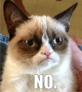 real cat telegram stickers