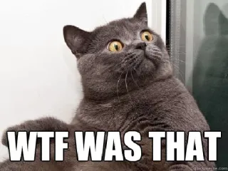 😨 4b58c706 WTF WAS THAT cat, meme, funny, wtf, shocked whatsapp sticker