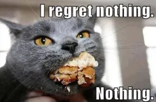 😼 4efa634f I regret nothing. Nothing. cat, food, humor, meme, regret, funny whatsapp sticker