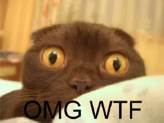 😮 6af22227 OMG WTF cat, omg, wtf, funny, meme whatsapp sticker