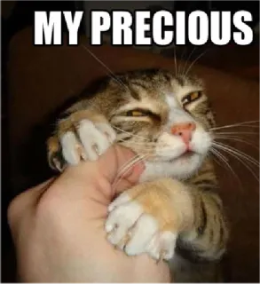 💍 f77c5114 MY PRECIOUS cat, meme, precious, animal, funny whatsapp sticker