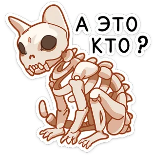 💀 5e65ffd4 А ЭТО КТО? esqueleto, gato, animal, hueso, gracioso, tenebroso, ruso telegram sticker