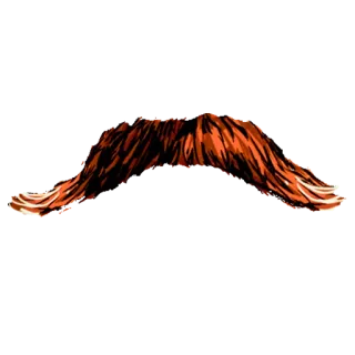 🤠 b0d309e3 усы, борода, оранжевый, коричневый, декоративный whatsapp sticker