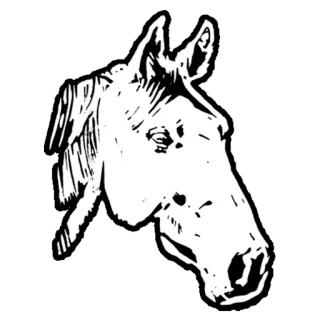 🐎 ecfaf19e лошадь, животное, лошадиный, сельскохозяйственное животное, белая лошадь, голова лошади whatsapp sticker