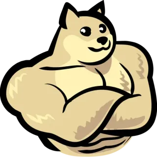 🐶 08ebd438 cane, meme, palestrato, muscoli, forte, animale telegram sticker