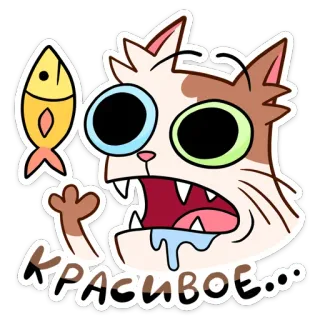 🐠 10ea853e КРАСИВОЕ... 猫, 漫画, 魚, ステッカー, 可愛い, 面白い, 動物 telegram sticker