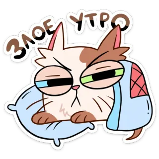 🥱 d1bfecb3 ЗЛОЕ УТРО 猫, 朝, 怒り, 枕, 漫画, 眠い, 不機嫌 telegram sticker