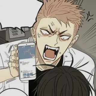 🐈 537620fb 화난, 소리치는, 애니메이션, 만화, 캐릭터 telegram sticker