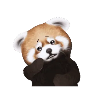 😢 edda53a7 小熊猫, 可爱, 动物, 毛茸茸, 悲伤 telegram sticker