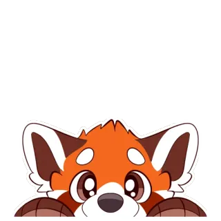 😶 9833370c panda rojo, animal, lindo, asomando, pegatina telegram sticker