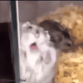 🤪 7b6e02b6 telegram sticker