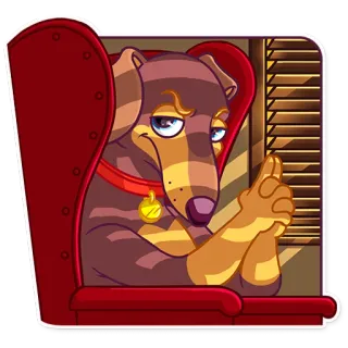 🌇 ef3c63d1 개, 닥스훈트, 의자, 만화, 동물, 애완 동물 telegram sticker