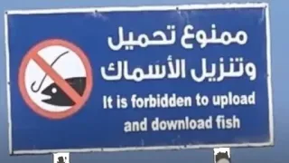 🚫 088ea317 ممنوع تحميل وتنزيل الأسماك
It is forbidden to upload and download fish Fisch, Verboten, Schild, Hochladen, Herunterladen, Arabisch, Englisch telegram sticker