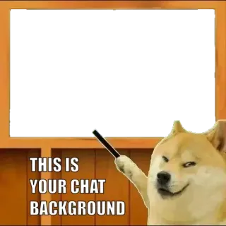 👨‍🏫 9b9a7977 Doge THIS IS YOUR CHAT BACKGROUND Hund, Meme, Chat, Hintergrund, Internet telegram sticker