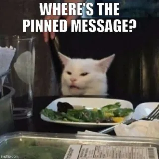😺 d5a203fe WHERE'S THE PINNED MESSAGE? Katze, Meme, Angepinnte Nachricht, Wütend, Lustig telegram sticker