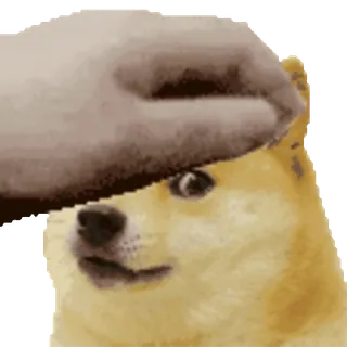 🦮 9fd37fe0 Doge doge, anjing, meme, binatang, meme internet, bonk whatsapp sticker