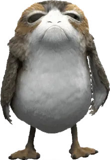 🐥 e4aebd49 Porg Star Wars porg, star wars, burung, imut, binatang whatsapp sticker