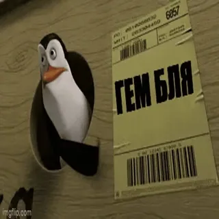 😨 3b889e5b ГЕМ БЛЯ penguin, sticker, russian, offensive, slang telegram sticker