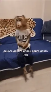 🌟 697de60b деньге деньге доваи дэнгэ дэнгэ шду monkey, animal, clothing telegram sticker