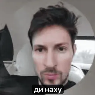 rekt by @crptjungle whatsapp stickers