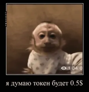 🤓 9b0bb8a0 Я думаю токен будет 0.5$ monkey, ape, finance, meme, cryptocurrency telegram sticker