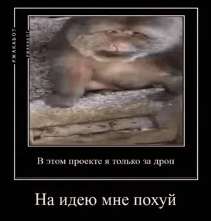 🌟 ac427aea В этом проекте я только за дроп
На идею мне похуй monkey, meme, russian, text, humor, animal telegram sticker
