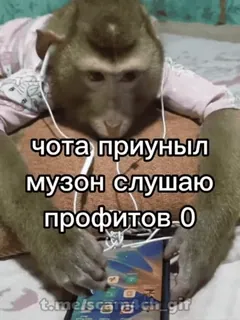 😖 c3487d07 чота приуныл
музон слушаю
профитов 0 monkey, sad, music, phone, profit, meme, animal telegram sticker