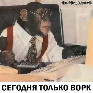 🦧 cb463768 СЕГОДНЯ ТОЛЬКО ВОРК monkey, work, computer, ape, glasses, office, typing, meme telegram sticker