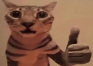 😯 691a28d7 mèo, động vật, thích, hài hước, meme, đồng ý telegram sticker