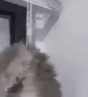 ⚰ 9d37b97a telegram sticker