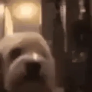 😁 d8494b87 telegram sticker