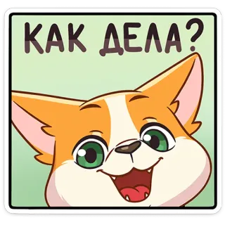 🐶 a16e9c05 КАК ДЕЛА? gatto, russo, come stai, domanda, saluto, felice telegram sticker