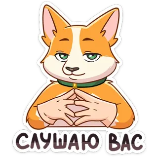 🐶 bee8fdb7 СЛУШАЮ ВАС cane, corgi, ascolto, pianificazione, russo, animale telegram sticker