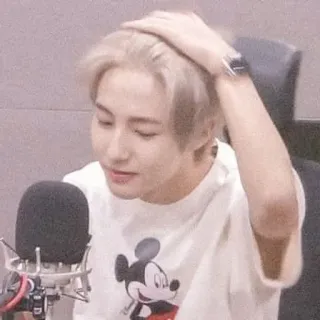 🦩 36604778 人, 男性, ポートレート, ラジオ, マイク, ミッキーマウス, Tシャツ telegram sticker