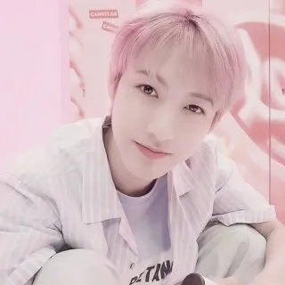 🦩 63bded17 telegram sticker