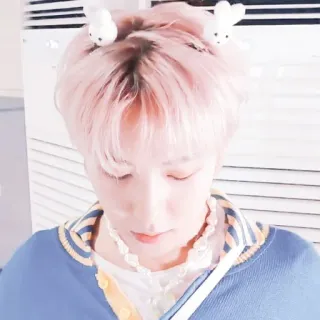 🦩 6461d674 人物, ピンク髪, うさぎ, ヘアアクセサリー, 可愛い, ポートレート telegram sticker