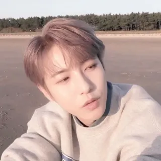 🦩 81e90041 telegram sticker