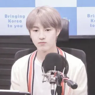 🦩 8c46be9c Bringing Korea to you 韓国, ラジオ, エンタメ, 芸能人 telegram sticker