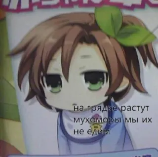 🌡 52a3fc45 На грядке растут мухоморы мы их не едим anime, mushrooms, cartoon, child, russian, text whatsapp sticker