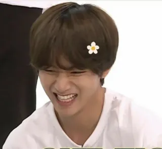 🍰 8bc0733e orang, bunga, kpop, senyum telegram sticker