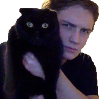 😻 29325c9b gato, hombre, mascota, animal, persona, retrato, gato negro telegram sticker